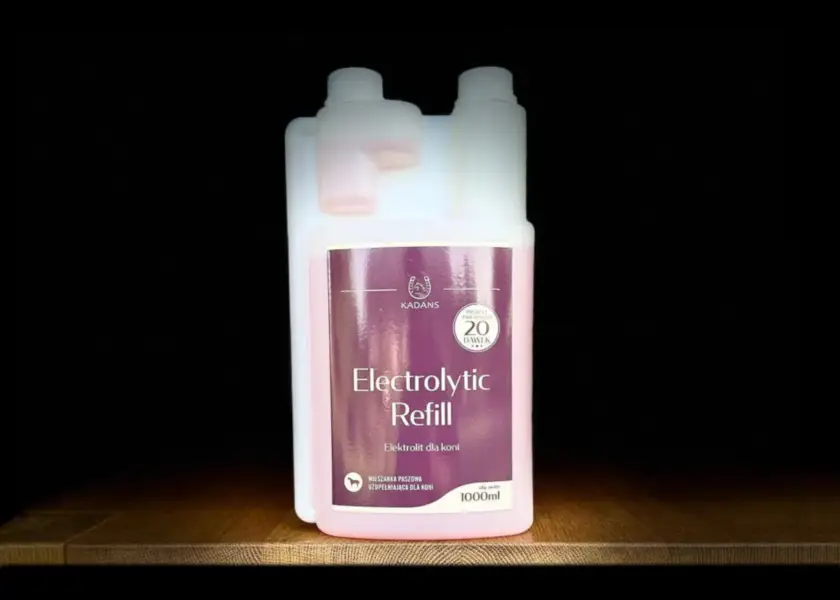 Electrolytes for horses